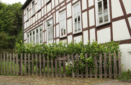 Rosenthal Apartment | Get-together in Fewo Holunder; celebrations with family and friends