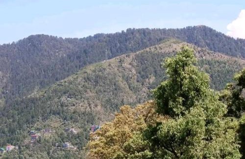 Dalhousie Bed & Breakfast | Ghai Niwas B&B