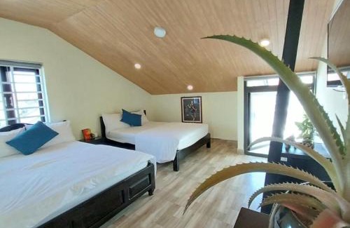 Cam Pho House | Giao Hòa Homestay Hội An