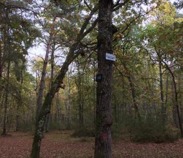 Noisy-sur-Ecole House | Gite cosy proche Fontainebleau et foret