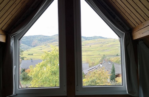 Wintzenheim Apartment | Gite du Hengst, near Colmar Between villages and castles