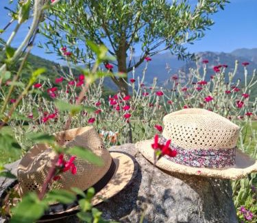 Mercus-Garrabet House | Gite La Grangette de Pauline