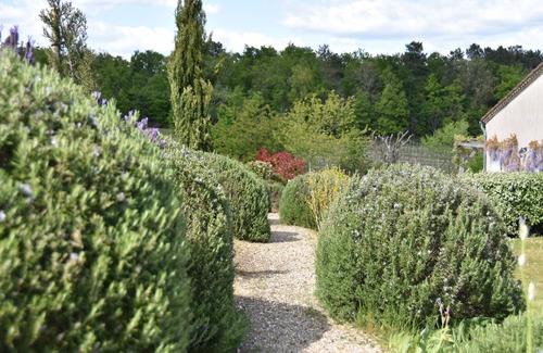 Pellegrue Cottage | Gîte (max 4 people) with pool amongst the vineyards in the Entre deux Mers area