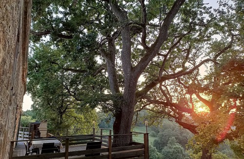 Bourg-de-Visa House | Gite of character in full of nature with swimming pool