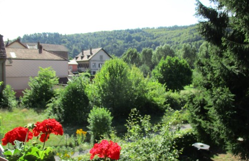 Lutzelbourg Apartment | Gîte of the flowered wood.