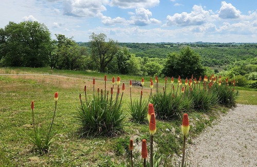 Labastide-Marnhac House | Gites du Moulin, detached house, heated pool with view.