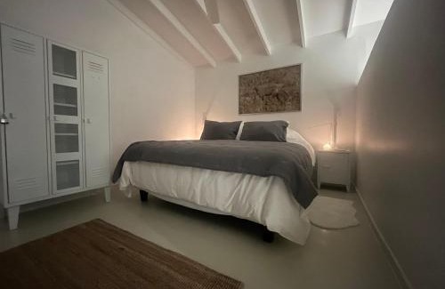 Paiguano Hotel | Glaciar de Roca Lofts