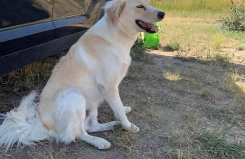 Reed Point House | Glacier, chill out in this cool camper!