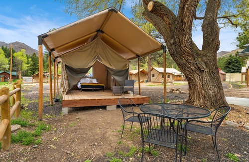 Poudre Park House | Glamp 5- American Plains Bison