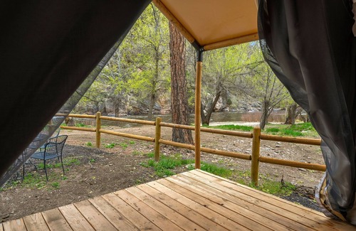 Poudre Park House | Glamp 5- American Plains Bison
