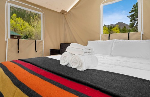 Poudre Park House | Glamp 5- American Plains Bison