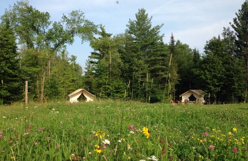 North River Cabin | Glamp Thomas On Adk Farm Offers Privacy, Stargazing And Mountain Views