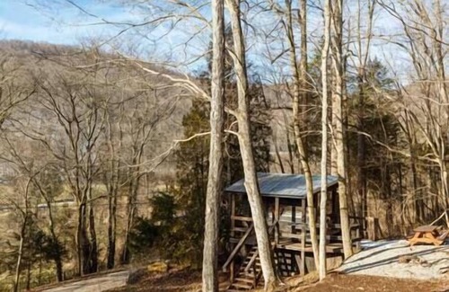 Lynx Cabin | Glamping Cabin | Huge Window | Nature Lovers Dream