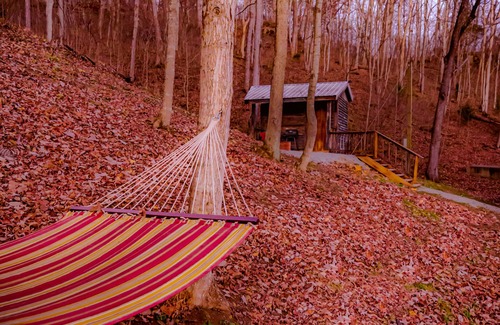 Lynx Cabin | Glamping Cabin | Huge Window | Over a Creek