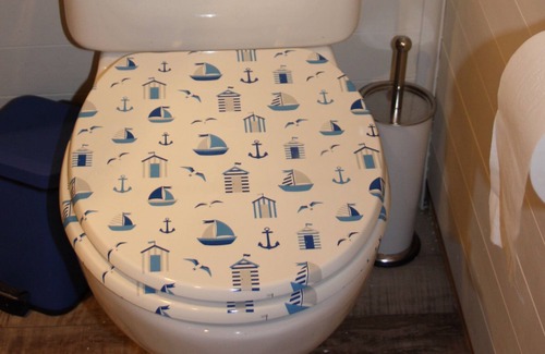 Strangford Cabin | Glamping In Style At Seal Cabi