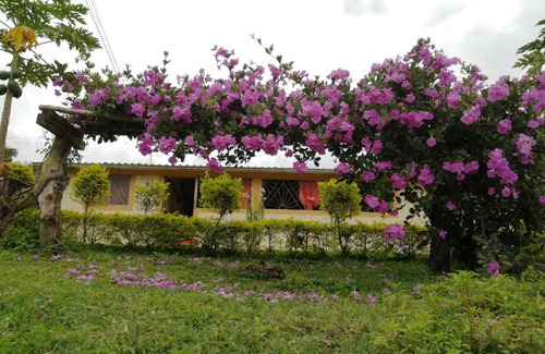 San Eduardo Other | Glamping La Rivera Café