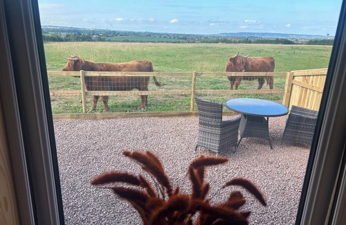 Whaddon Cabin | Glamping Pod in secluded location with Highland Cows at the fence