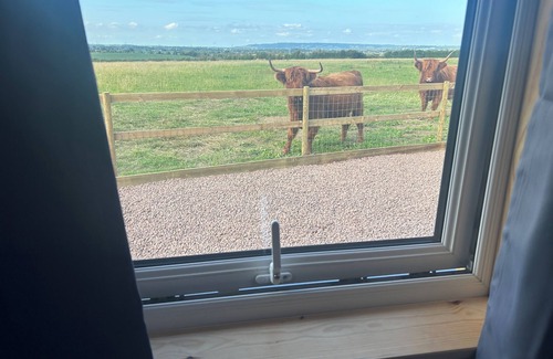Whaddon Cabin | Glamping Pod in secluded location with Highland Cows at the fence