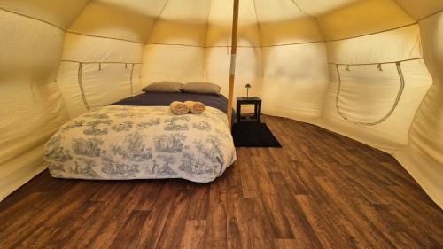 Torres Del Paine Other | Glamping Río Serrano - Caja Los Andes