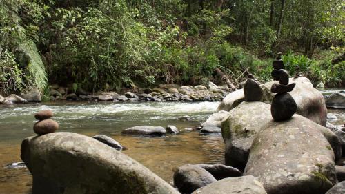 Totoro Other | Glamping Reserva Natural Amalaka
