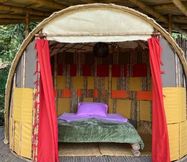 Totoro Other | Glamping Reserva Natural Amalaka