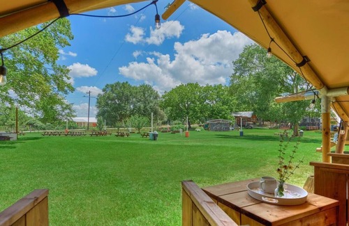 Navasota RV Rental | Glamping Resort Tent on a Honey Farm