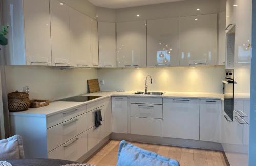 Asane Apartment | Glaskaråsen