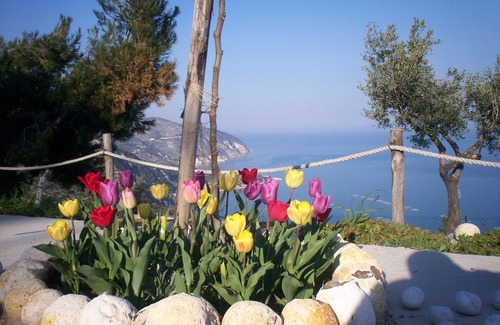 Mattinata Apartment | - Gli Orizzonti di Agata - Villa with a wide view of the sea - AGATA -