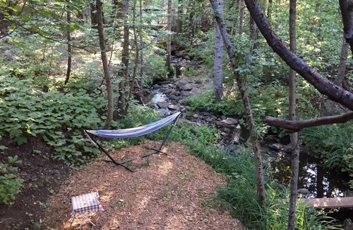 Camp Connell Cabin | Glorious Summer At Cabin On The Creek