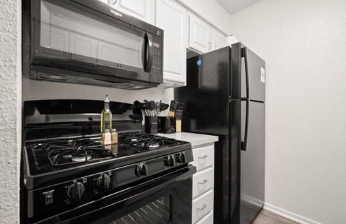 Skyview Apartment | Glowing Green Studio - Great for ACL, F1, and DTX