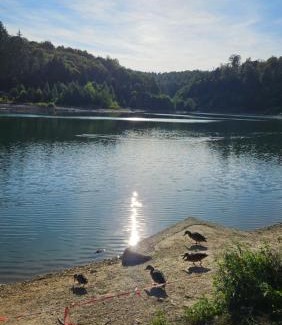 Central Serbia House | Goč Sunčani breg
