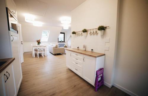 Stara Kiszewa House | Gościniec Kaszubski Las, Ruda 3