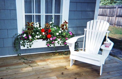 Lake Placid Cottage | ★ GO-Cottage ★ Comfort, Charm, Cozy Vibe ★ King Bed ★ Fenced Yard ★ Walk to town