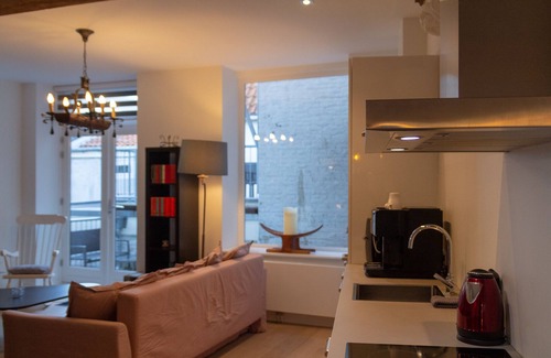 Centrum Apartment | GOG B - Cozy Lofts Haarlem
