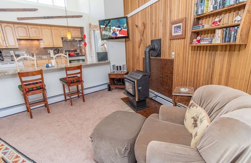 Peak 8 Condo | Gold Camp Placer Condo: On Shuttle Route