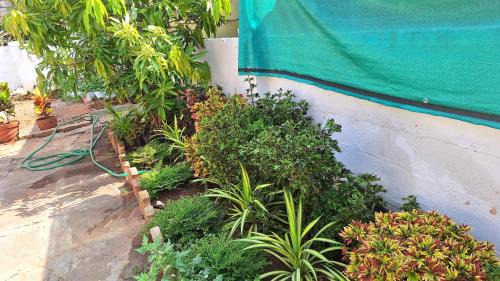 Mysore House | Golden Nest Home Stay