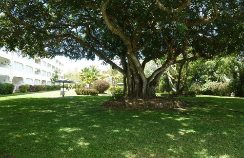 Halcyon Heights Condo | Golden View 227 1 Bedroom Close to Ocean