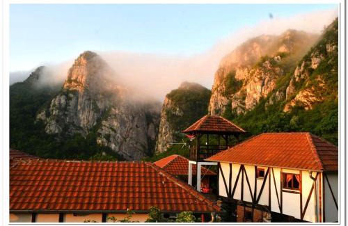 Stara Planina Apartment | Golemi kamik Pirot Vlasi 4