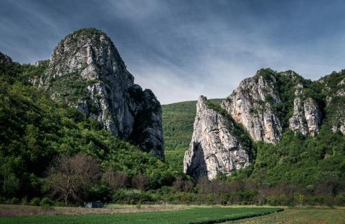 Stara Planina Apartment | Golemi kamik Pirot Vlasi