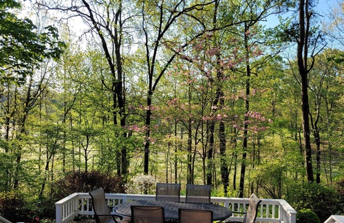 Hot Springs Village House | Golf, Relaxation, Adventure, Fun awaits you in this beautiful spacious home