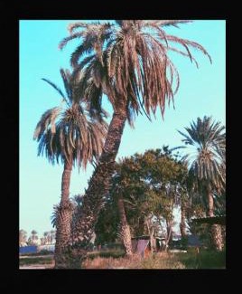 Nejran House | Good luck