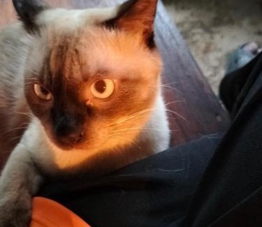 Ko Kood House | Good Time Resort Koh Kood