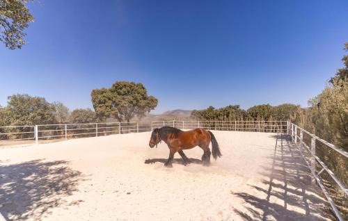 Atarfe House | Gorgeous Home In Atarfe