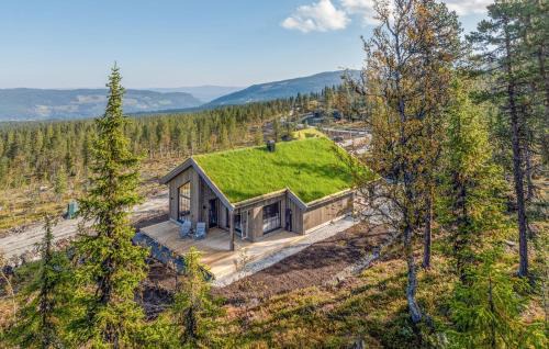 Nes House | Gorgeous Home In Nesbyen With Wifi
