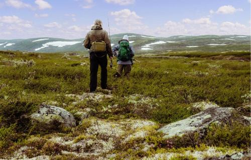 Haugastol House | Gorgeous Home In Vøringsfoss With Sauna