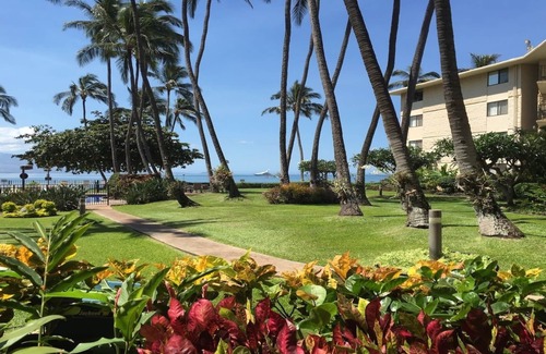 Maalaea Condo | GORGEOUS OCEANFRONT GROUND FLOOR UNIT—PARADISE FOUND