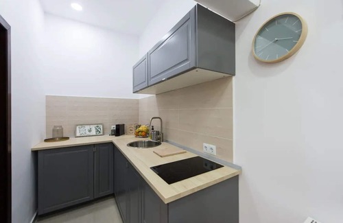 Centrul Vechi Apartment | Gorgeous Old Town Flat with Mountain Views