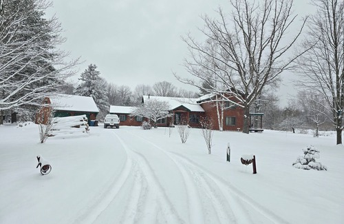 Arenac County Cabin | Gorgeous, Secluded Large Log 4 Bedroom Cabin with a pond view on several acres!