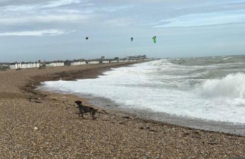 Goring-by-Sea Apartment | Goring Beach Studio - 2 min walk from seafront