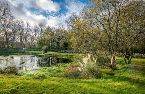 Dyffryn Ardudwy House | Gors-Y-Gedol